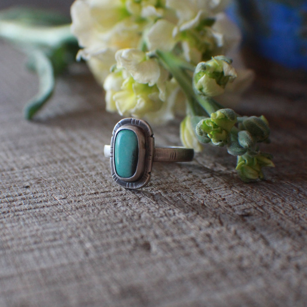 ~ A Turquoise Ring for Turquoise Lovers: Size 9 Natural Sonoran Turquoise Tall Rectangle