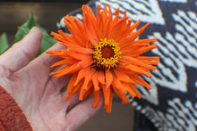 Load image into Gallery viewer, "No Bad Days in Orange"- A Tiny Spark Necklace, adjustable 15-17" OOAK