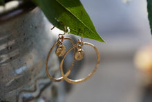 Load image into Gallery viewer, Gold Lumen Hoops - Small - 14k Gold Fill
