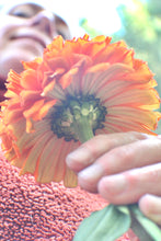 Load image into Gallery viewer, &quot;No Bad Days in Orange&quot;- A Bracelet - Size Medium 7.5&quot; OOAK
