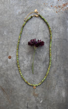 Load image into Gallery viewer, Rio Bravo: AAA Green Sonoran Gold Turquoise Necklace with 14k Gold Fill
